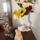 IMG_0888