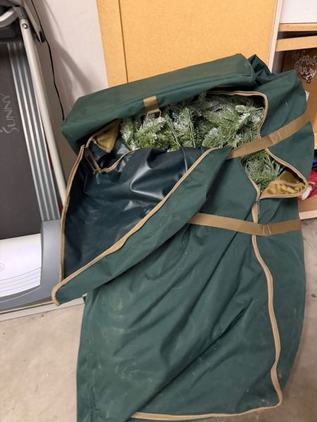 IMG_0769