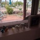 IMG_0051